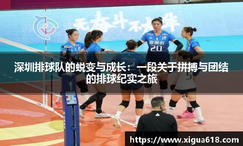 深圳排球队的蜕变与成长：一段关于拼搏与团结的排球纪实之旅