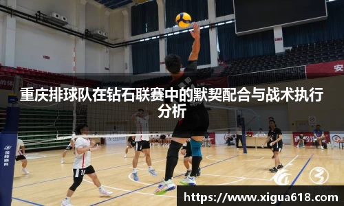 yy体育