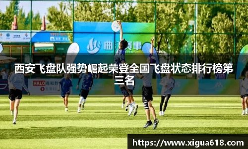 yy易游