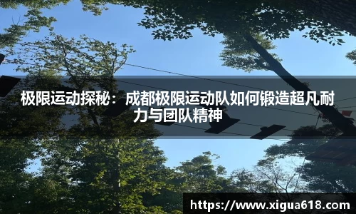 易游体育